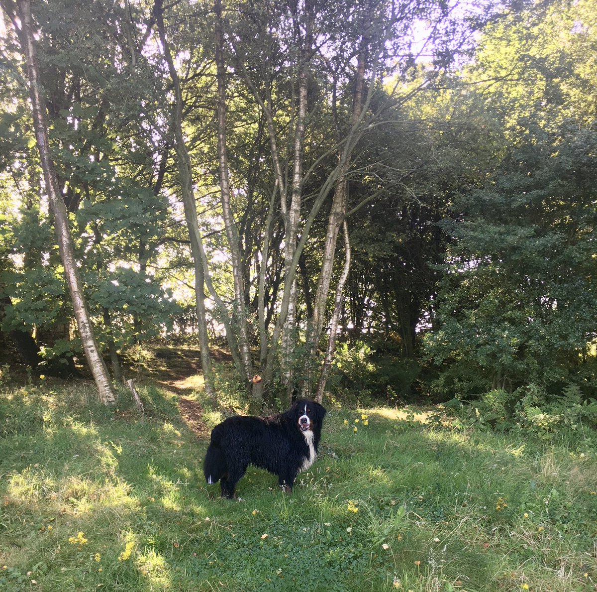 AnneBoydUK's tweet photo. Active with my boys #ActiveOutside #HavingFun https://t.co/Ge2PKljJYl