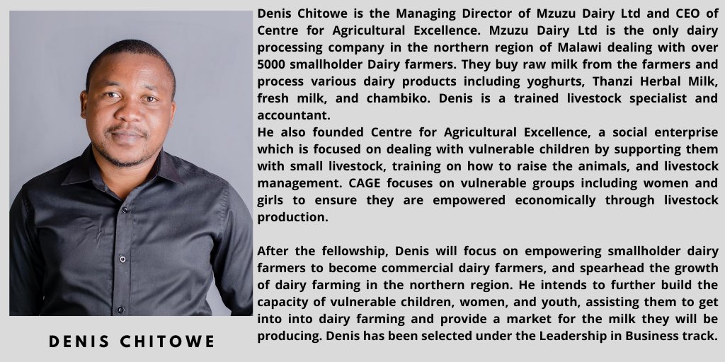 ELivelihoods's tweet photo. Congratulations to our entrepreneur Dennis Chitowe, Managing Director for Mzuzu Dairy Ltd under the #bizcubation2020 cohort for being selected for the @WashFellowship under the leadership for business track. 

#YALI2020
#Bizcubation 
#2020class
#YouthEntrepreneurship
#malawi https://t.co/Mq9kQGUNbZ