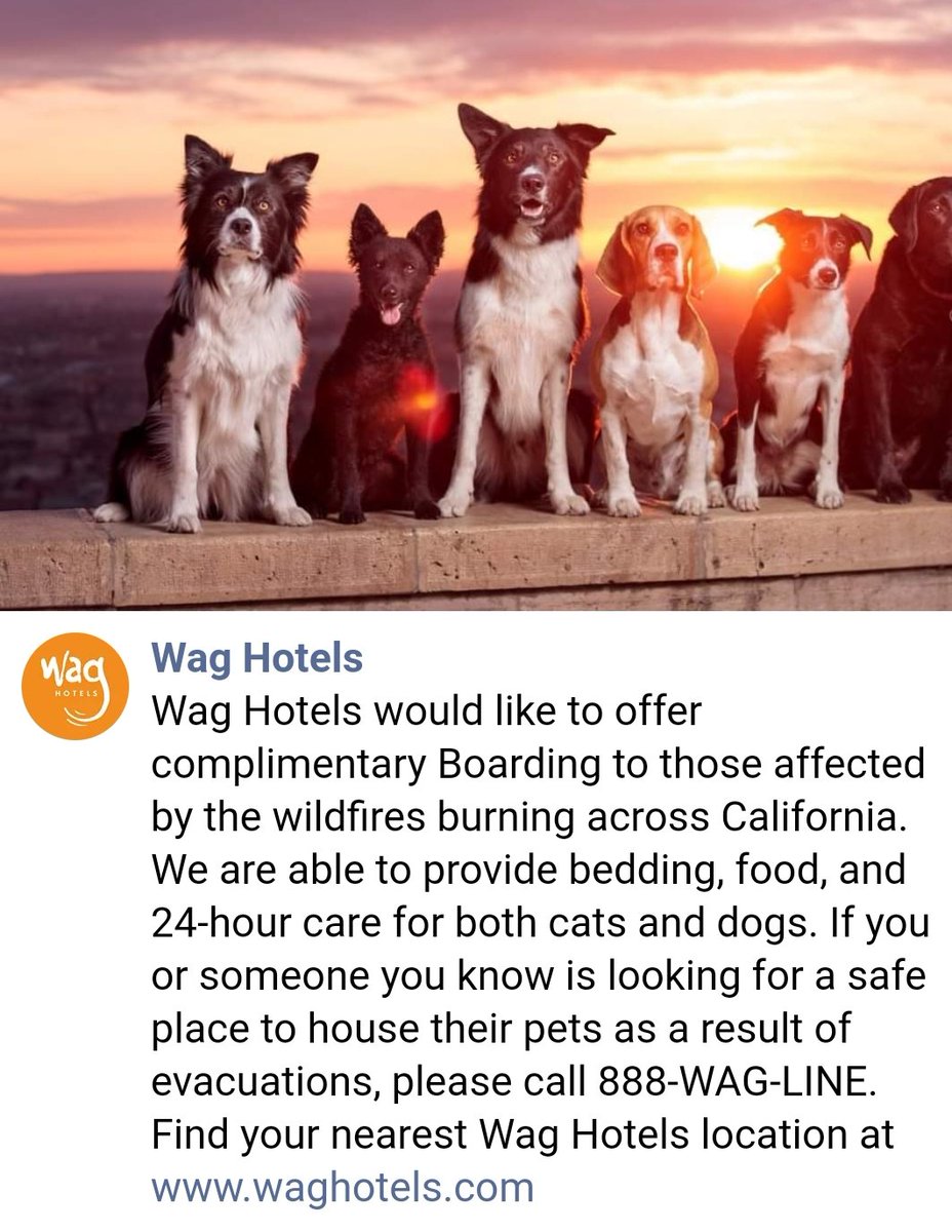 #Animals  #Pets  #Dogs &  #Cats  Wags Hotels offering free boarding to fire-impacted pet parents. Details   http://m.facebook.com/WagHotels/photos/a.241449335482/10164032817855483/?type=3&d=m #LNULightningComplex #RiverFire  #CarmelFire #SCULightningComplex  #CZUAugustLightningComplex #California  #DAT  #CaliforniaFires