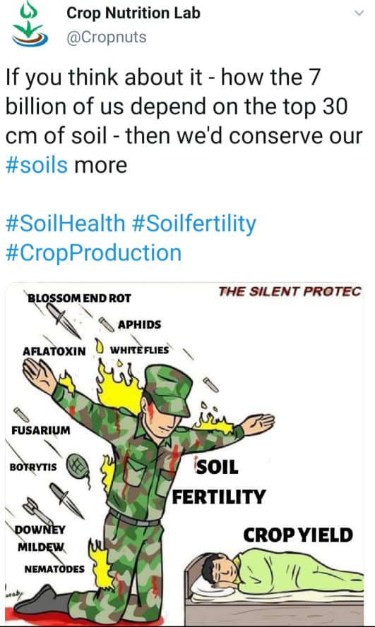 Secure Future Africa (@securefuturewef) on Twitter photo 