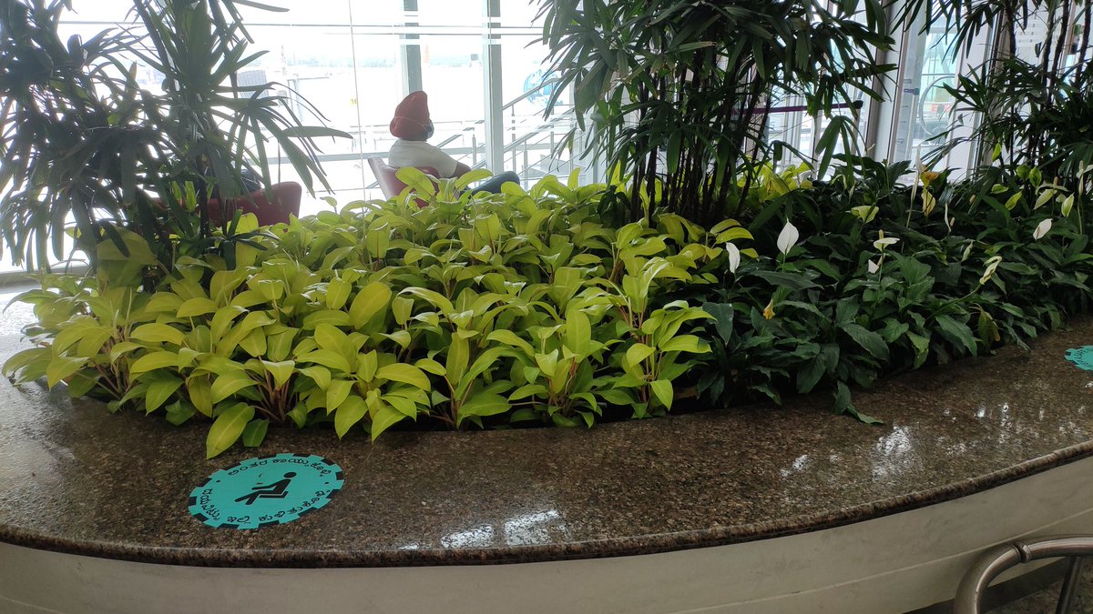 All sitting areas a marked even the platforms near indoor gardens.