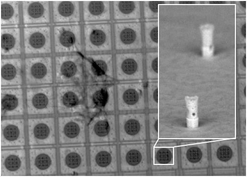 OStaufer's tweet photo. Our paper on CMOS nanoelectrode technology for multicellular in-parallel intracellular recordings is online in @IEEEorg Journal of #Microelectromechanical Systems! Max Planck-Frauenhofer collaboration with @Fraunhofer IMS @karstenseidl @mpi_mr_hd 
https://t.co/XpOWSgC5xV https://t.co/Z8zVRuY6DW