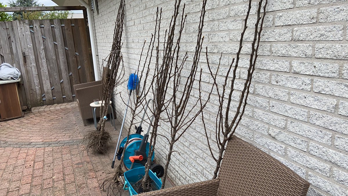 Tien (!) perenbomen gekregen van <a href="/MeerbomenN/">MeerBomenNu</a> 😍 Nu de tuin dus verder vergroenen! Eindresultaat volgt (: