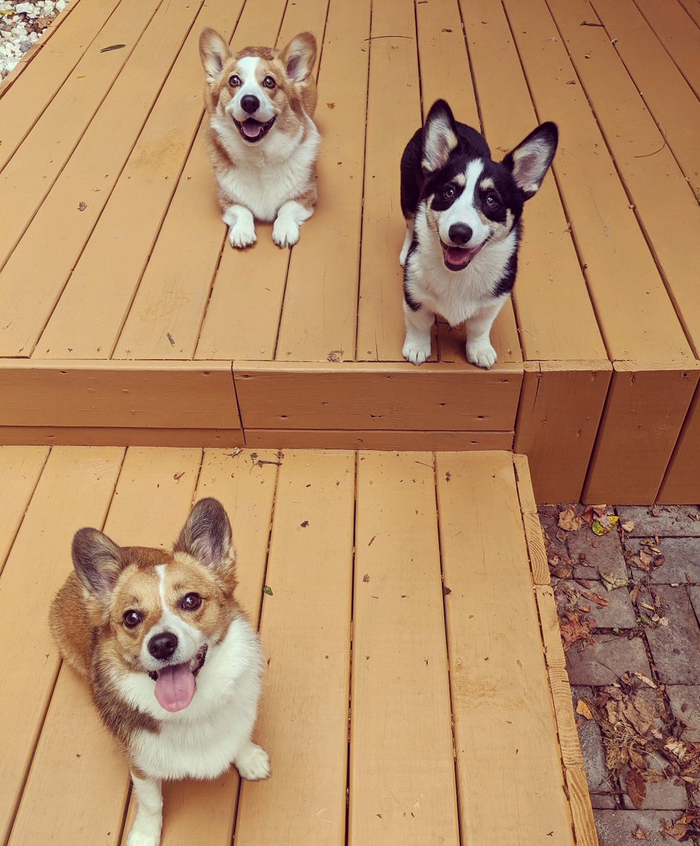 Julielkellogg's tweet photo. Play date! https://t.co/AXsLeGJzal