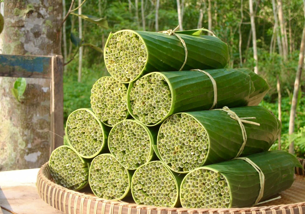 cleaningearth's tweet photo. In Vietnam 🇻🇳 people are switching to these wild grass straw to #beatPlasticPollution. It is cheaper than plastic straw and a sustainable solution. #SDGs #GlobalGoals #ClimateAction #cleanearth https://t.co/m3NzcnKDFj