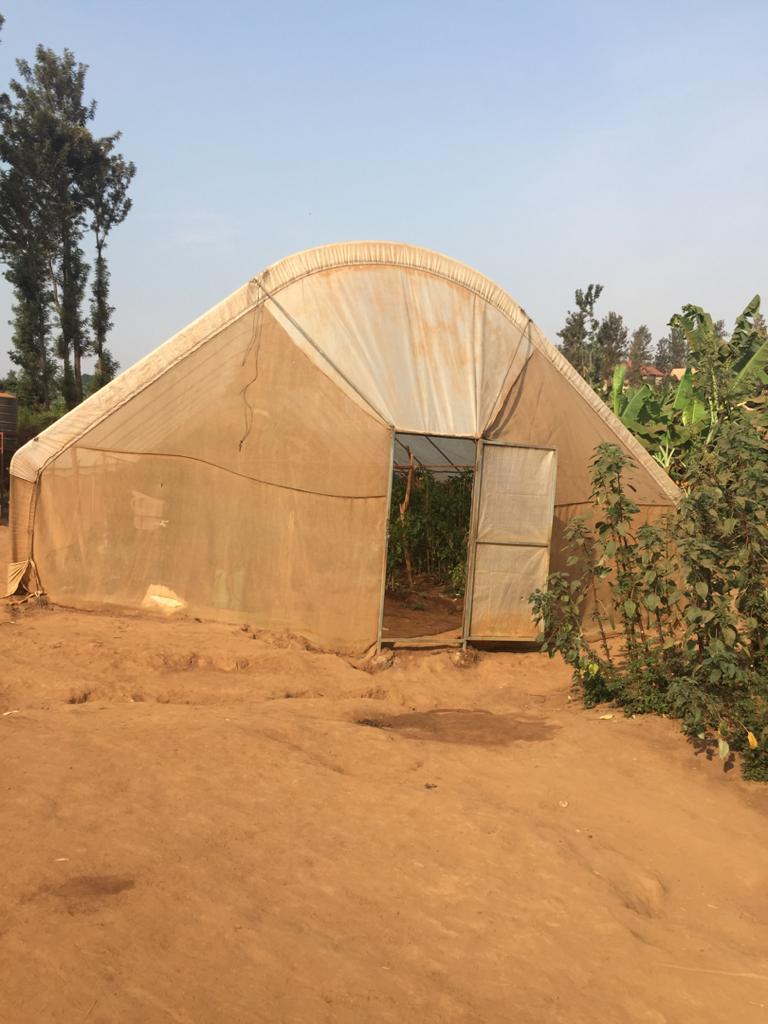 JADFBugesera's tweet photo. Africa Development Promise: launched women empowerment initiatives via fruits and vegetables grown in Ntarama sector. The women will soon have their headquarters in Nyamata Sector thanks to the organization's effort. #VirtualOpenDay2020 #BugeseraJADF
#BugeseraPartners https://t.co/NDJSwSjgcJ
