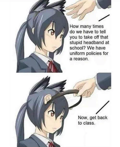 Oh wait.... Uhm... Nevermind...
#Anime #AnimeMemes #Otaku

~Not mine 