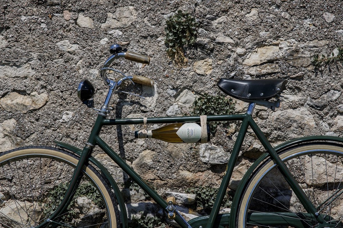 MuseoNicolis's tweet photo. 📸 Le bici d’epoca e gli oggetti vintage del Museo Nicolis protagoniste degli scatti per i vini del Casato Possessioni @SeregoAlighieri!

Link della notizia https://t.co/fsQPDhcYRf

Ph. Archivio Masi Agricola

@MasiWines
#seregoalighieri 
#masiwineexperience
#museonicolis https://t.co/XLaZGL4zKd