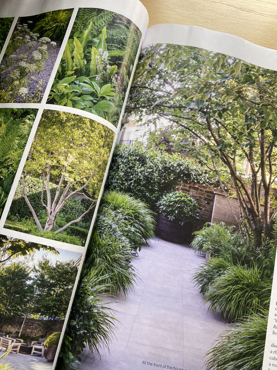 Society of Garden + Landscape Designers® tweet media