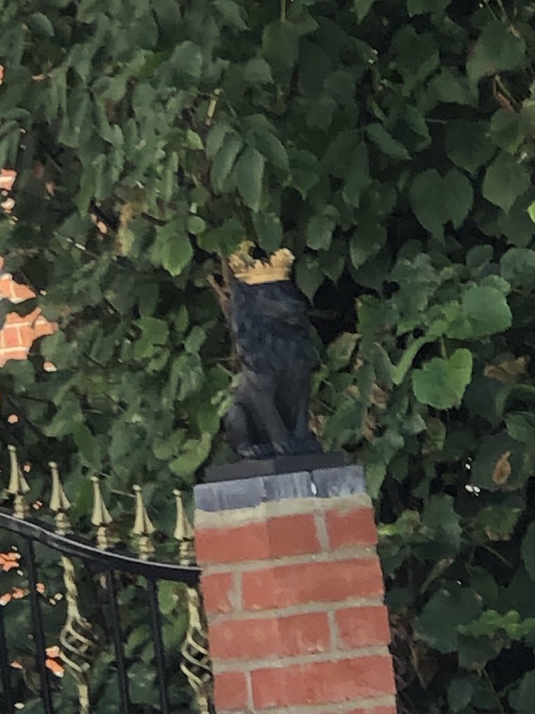 1st pic- Me holding the award for Best Cinematography for “Good Luck” @ British Independent Film Festival last year

2nd &amp; 3rd pic- Guessing this neighbour won TWO for Best House?? 🤔😂 

<a href="/UKFILMFESTIVALS/">Film Festival Guild</a>