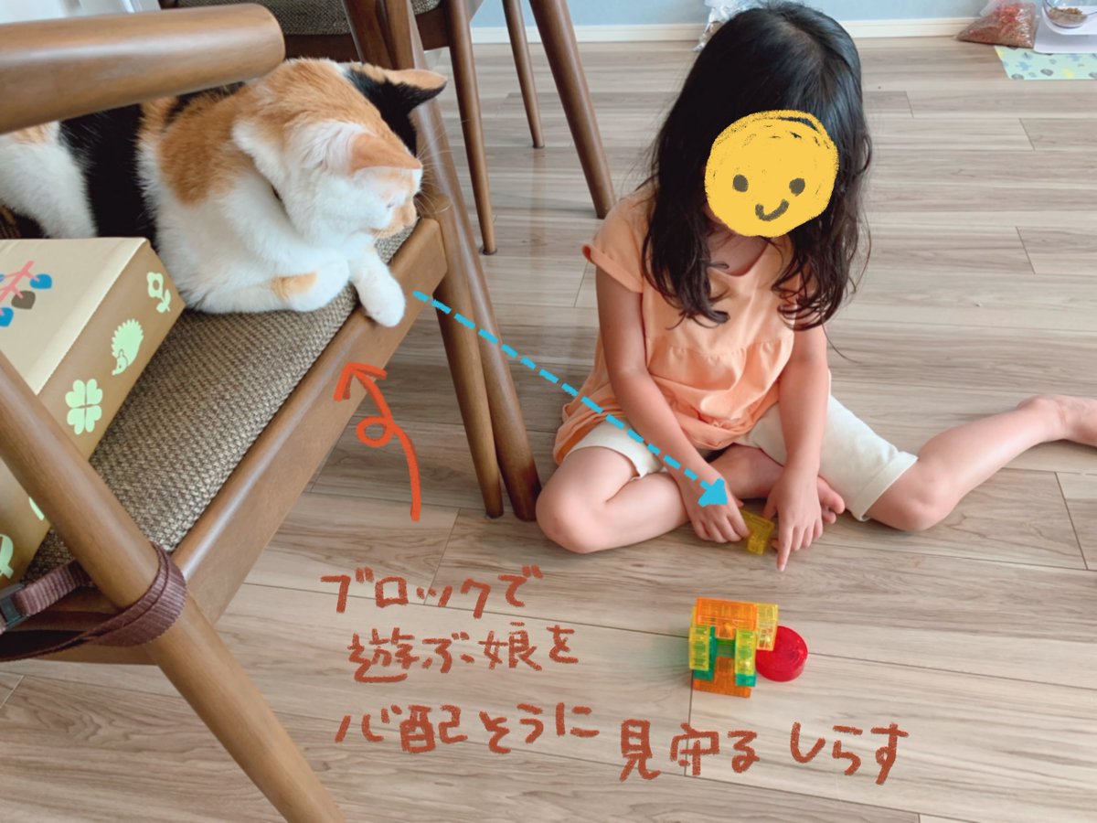 三毛猫しらす漫画

子供とねこの関係。
ソロ〜っと避けてるようで、さりげに娘の面倒みてくれてるしらすです。 