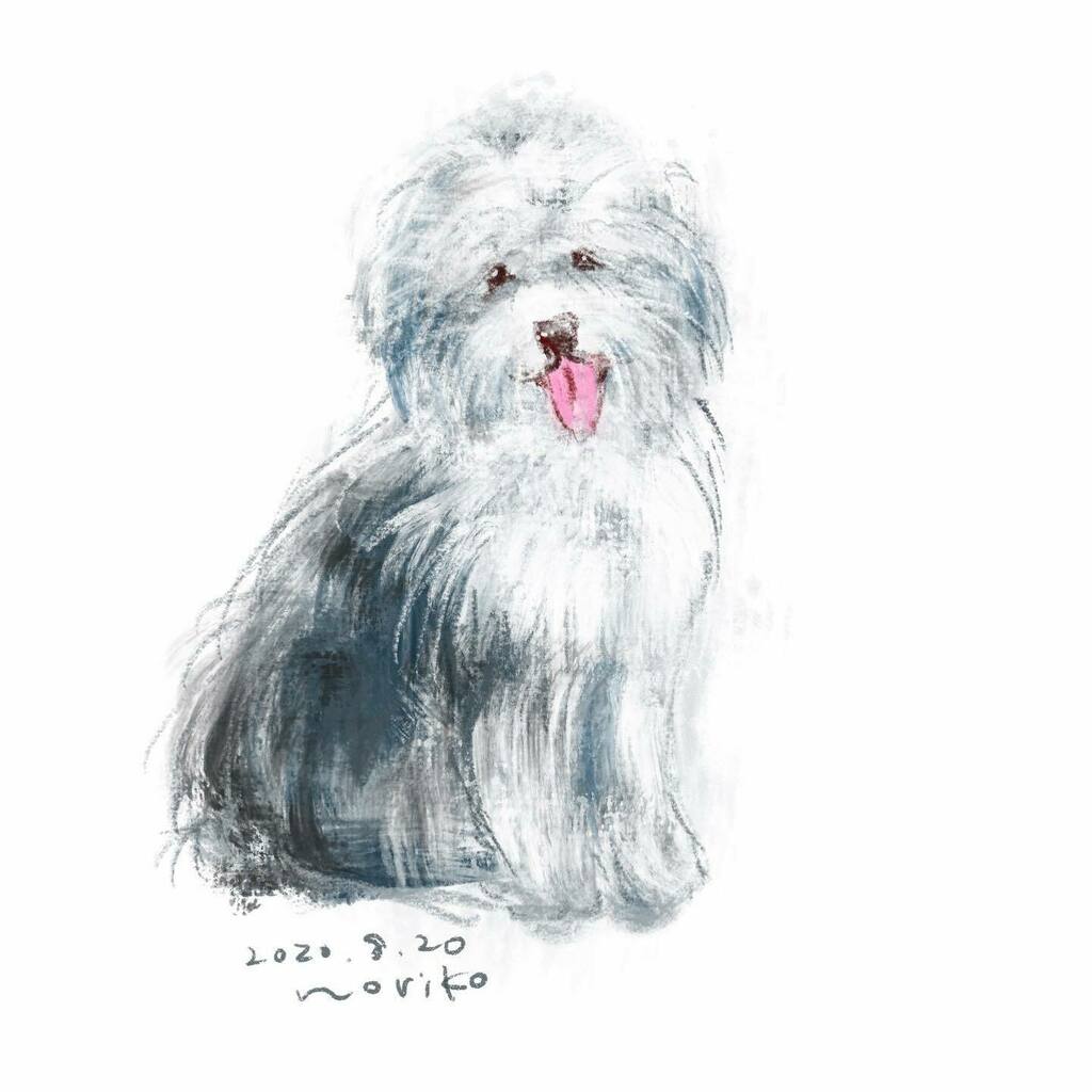 オールドイングリッシュシープドッグ Twitter Search