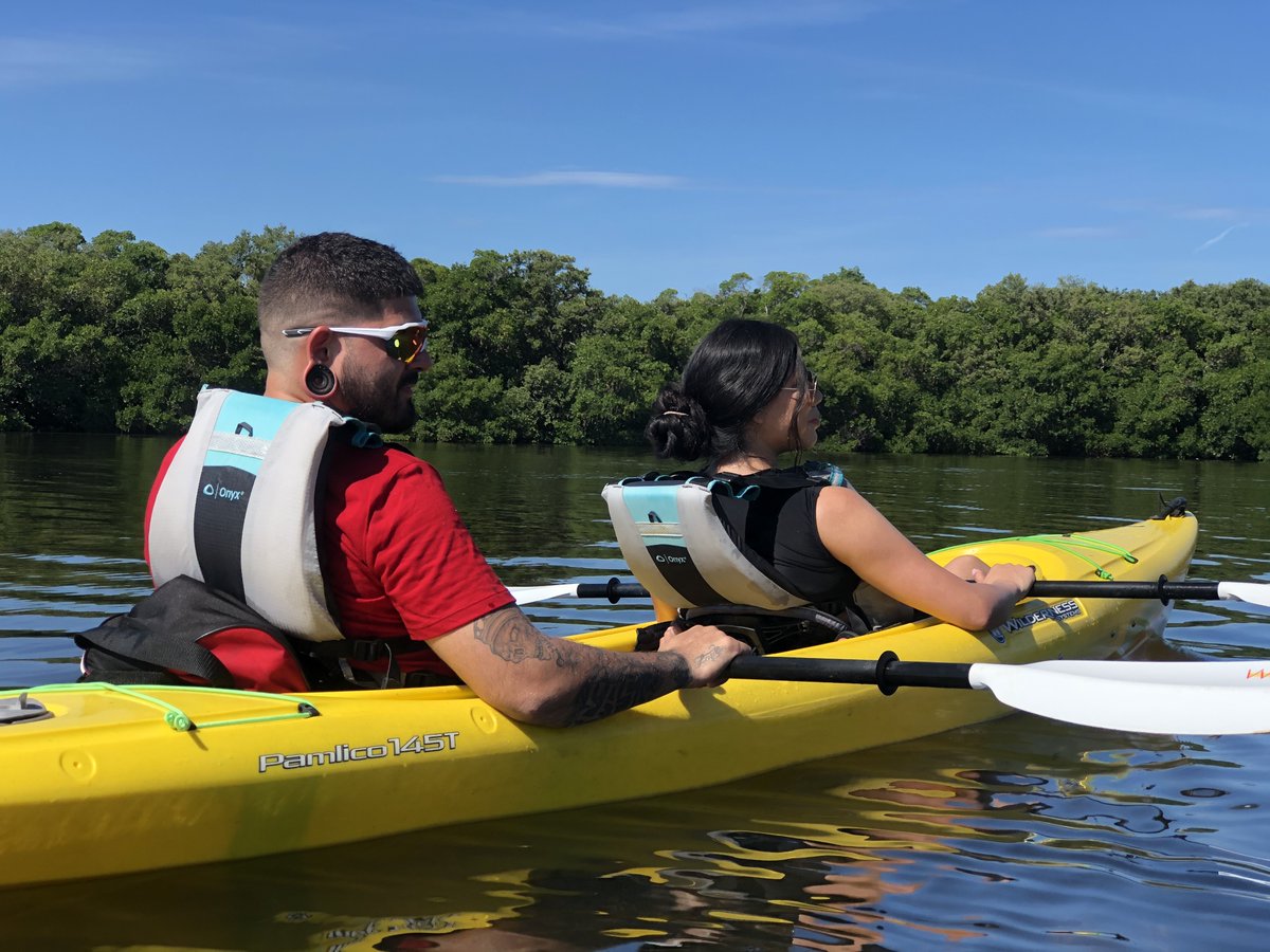 Coastal Kayak Tours St Pete Visit St Petersburg Clearwater Florida