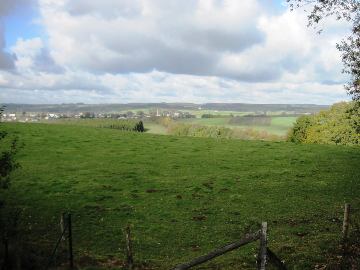 Atypically they'd left their heavy packs behind with the support wagons but as they charged down the hill they got stuck on unseen barbed wire fences separating potato from cattle fields. With no wire cutters they themselves were cut down by 87IR in front and then 88IR from the E