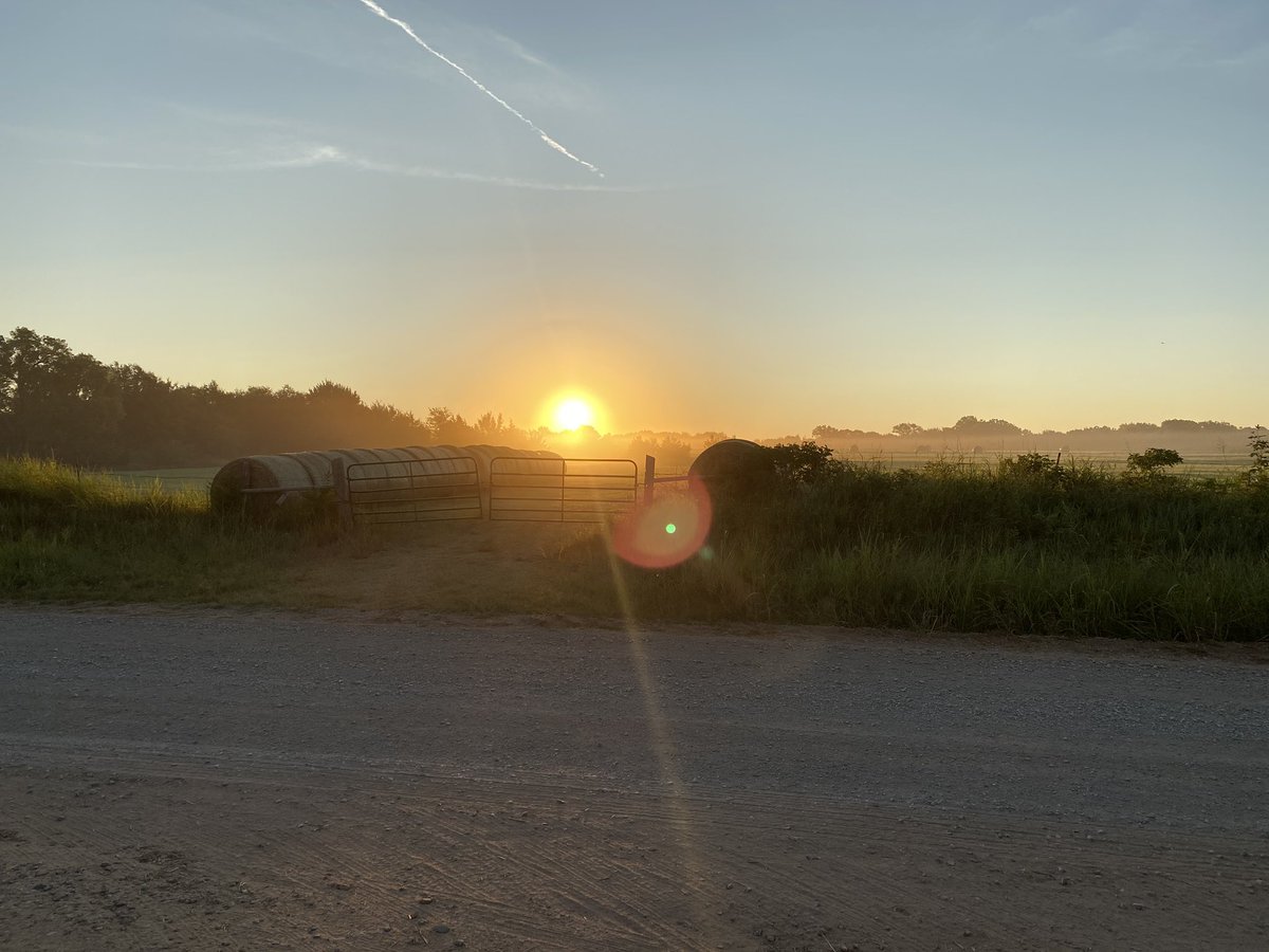 sellingstilly's tweet photo. Beautiful sunrise this morning! Today is a great day...showings, closings, contracts and education. The market is still moving #clientsfirst #provenresults #buywithconfidence #sellwithsuccess #sellingstilly https://t.co/DwE2igp5Eq