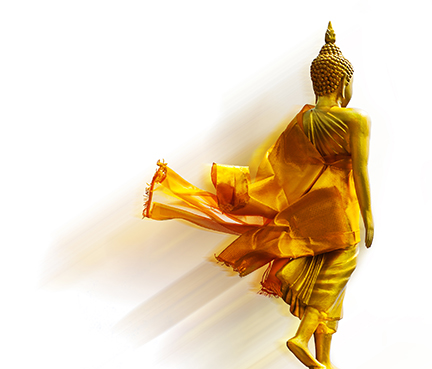 A Whole-Life Path is a thoughtful and thorough exploration of how Dhamma practice can infuse every aspect of our lives...as we investigate the causes of suffering and the possibilities of freedom. #JosephGoldstein #wholelifepath
#gregorykramer #dhammapractice