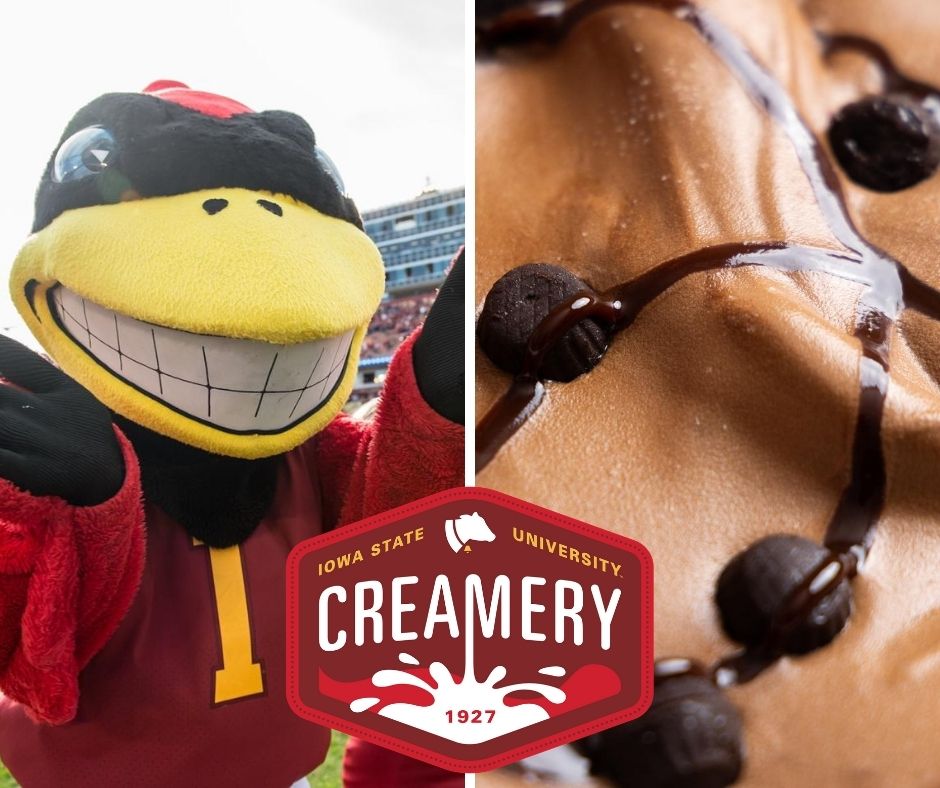 IAStateFSHN's tweet photo. GRAND OPENING! The ISU Creamery opens August 21!

Today's featured flavor is CARDINAL TRACKS. This chocolate ice cream with chocolate-covered raspberry cups and fudge swirls honors the official mascot of ISU, the Cy. 

https://t.co/glNiZYhC5t
#isucreamery #isufshn https://t.co/rpoH2nYYPs