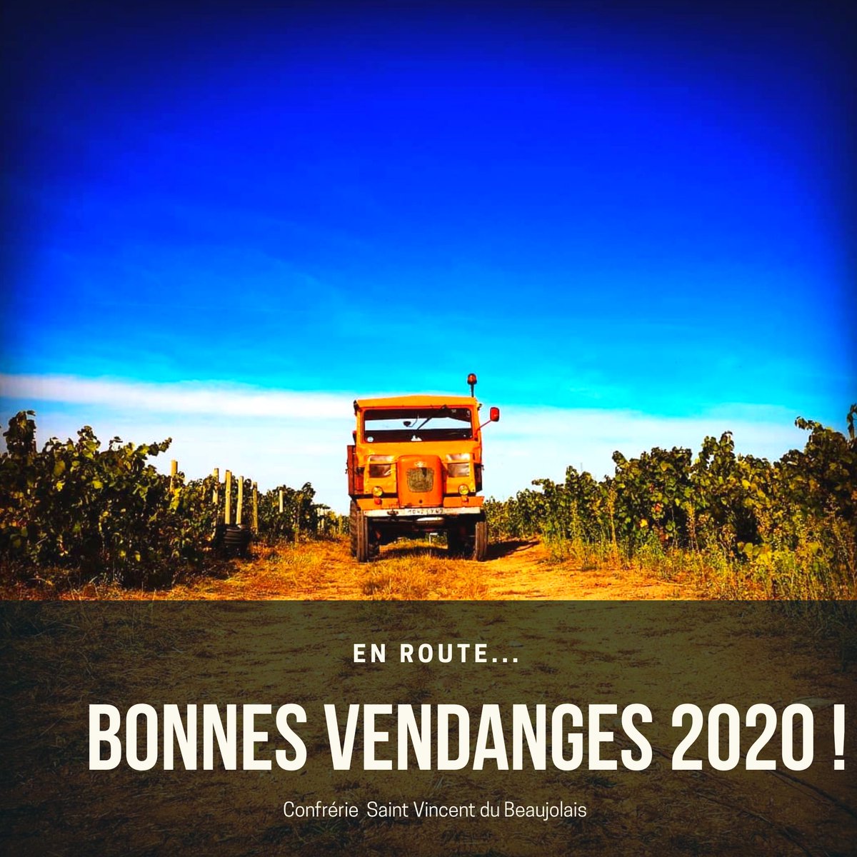 Bonnes vendanges 2020 !

#vendanges #harvest20 #Harvest2020 #beaujolais #beautiful #NaturePhotography #vines #vendanges2020