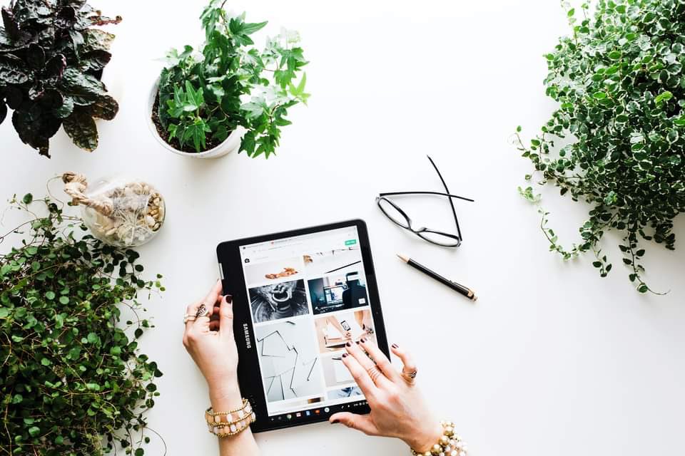 SPA_Canada's tweet photo. “Creating a vegan, cruelty-free wardrobe starts by changing your habits, one piece of clothing at a time!” 

Check out our latest article: https://t.co/FzEJ9QQAyS 

Photo credits: Arturo Rey and Brooke Lark via Unsplash https://t.co/hFRSYEyUdz