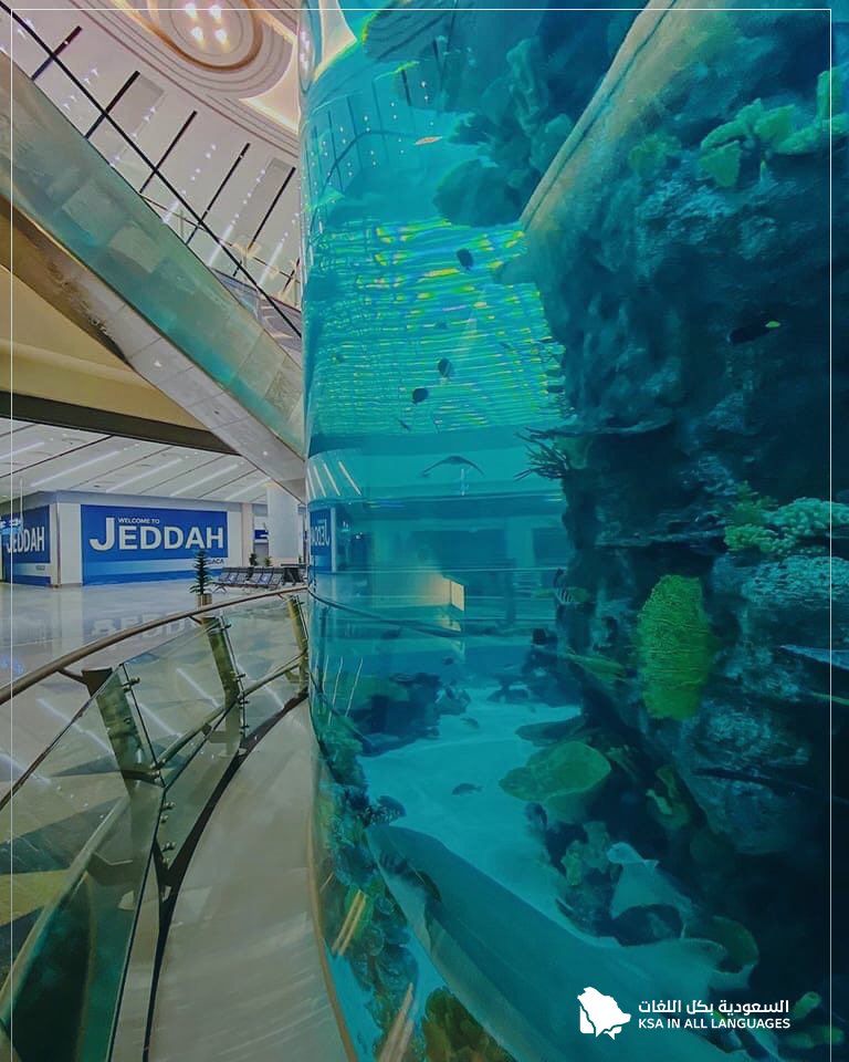 KSAinJA's tweet photo. ジェッダ空港は世界の空港には一番大きな水族館を擁する、高さは14メートル、直径は10平方メートル, ジェッダの海洋環境に着想を得て設計されており、約2000の海洋生物、紅海魚の最も有名な種類が65含まれている。
#KSAinallLangs
#サウジアラビア https://t.co/8RNuP6Ip1n