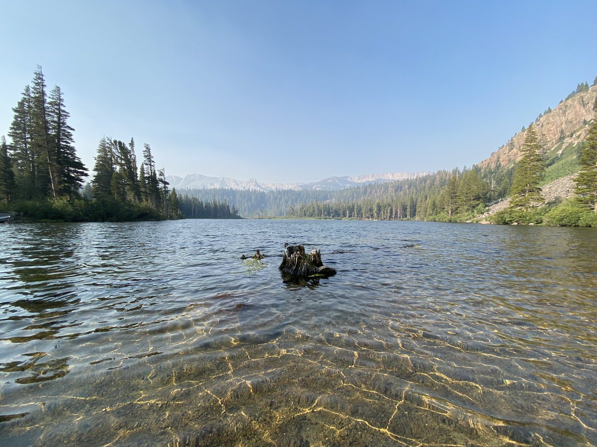 timramirez's tweet image. 😍