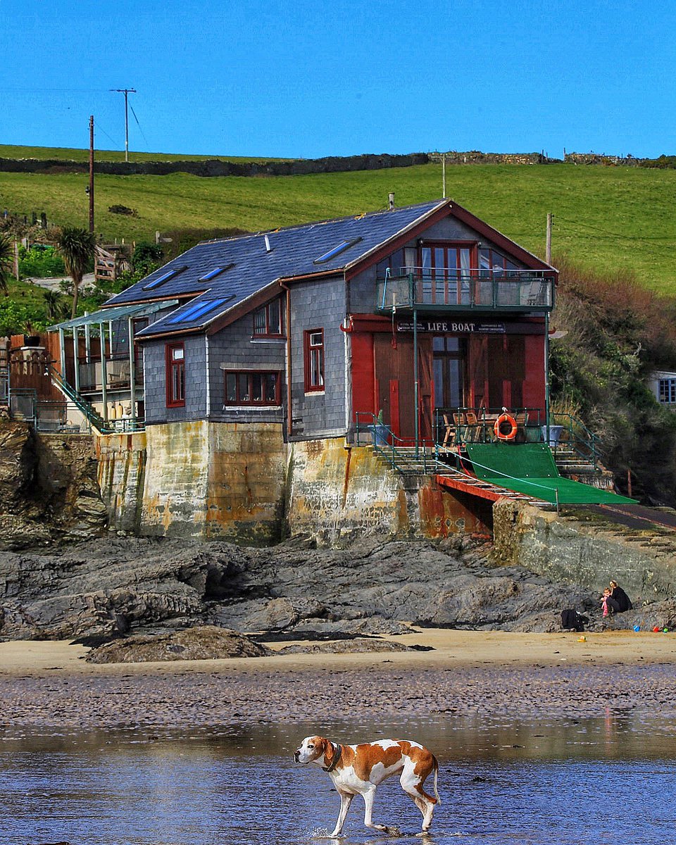 Gurnardfeet's tweet photo. The old lifeboat station at Hawkers cove in Padstow this was the actor Edward Woodward’s home until his passing... and that’s our dog getting in the shot..#thewickerman #cornwall #padstow #englishpointer #hawkerscove #pointerdogs https://t.co/e0PW4kwYsk
