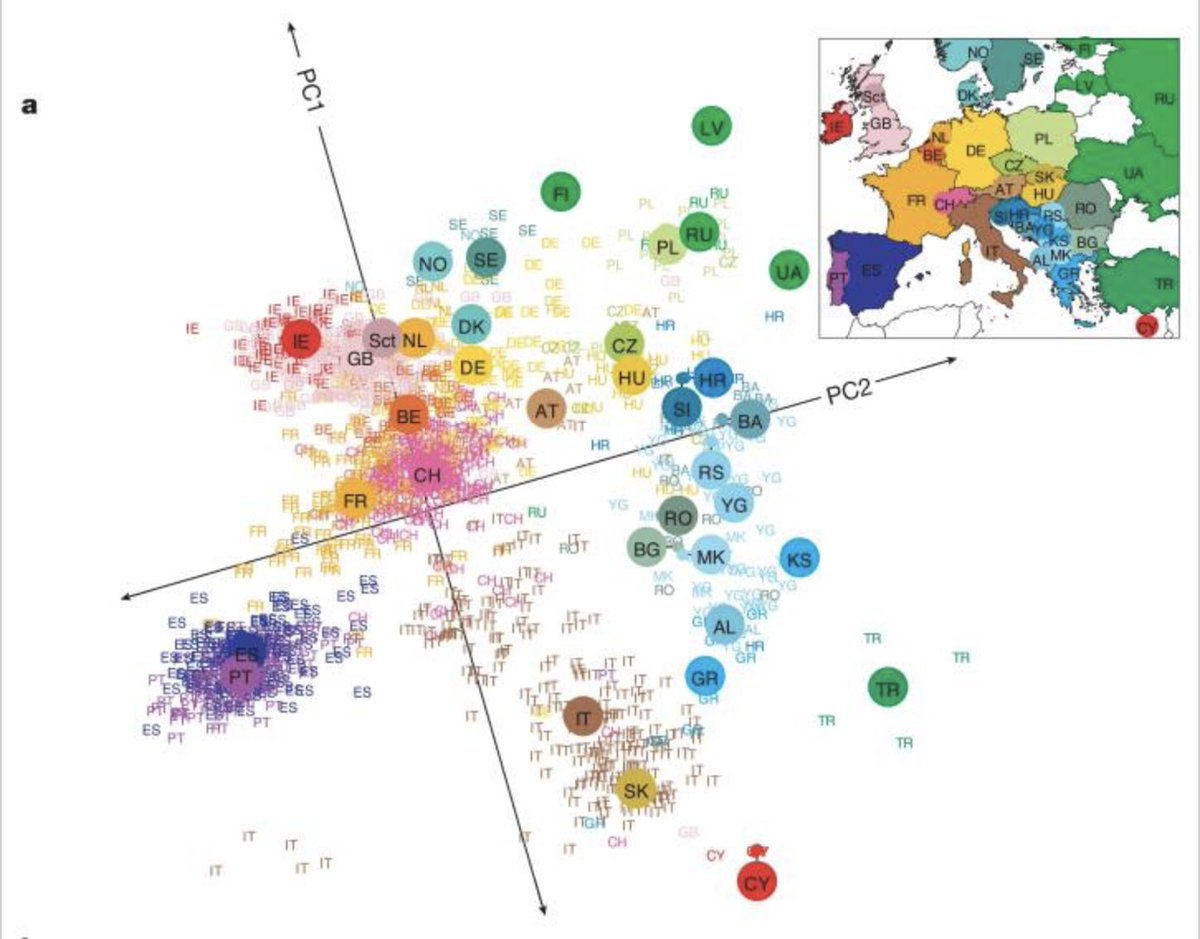 This incredible figure I saw in a genetics class in college solidified my interest in population genetics. It shows that using a clustering technique (PCA) you can capture the ethnicity of the Europeans so perfectly it matches a map! But...  #ABigConversation  #BlackInGeneticsWeek