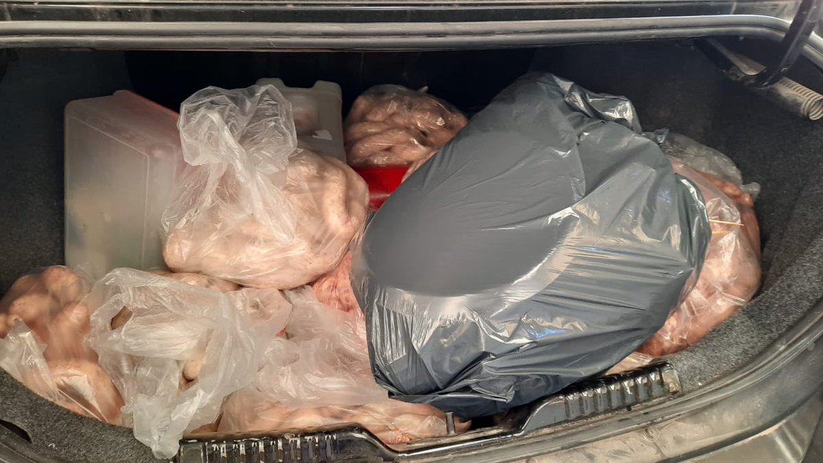 19 de Agosto - Día nacional de lucha contra el Síndrome Urémico Hemolítico(SHU) - Enfermedad causada por una bacteria llamada Escherichia Coli.