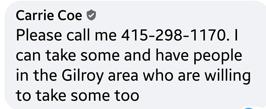   #SantaCruzCounty  #CZUAugustLightningComplex We know Carrie — if you're in need of shelter for  #horses or other large  #animals, please give her a call.  #DAT knows she's an experienced horsewoman.  #SantaCruz  #CaliforniaFires  #CZULightningComplex  #Livestock  #Pets