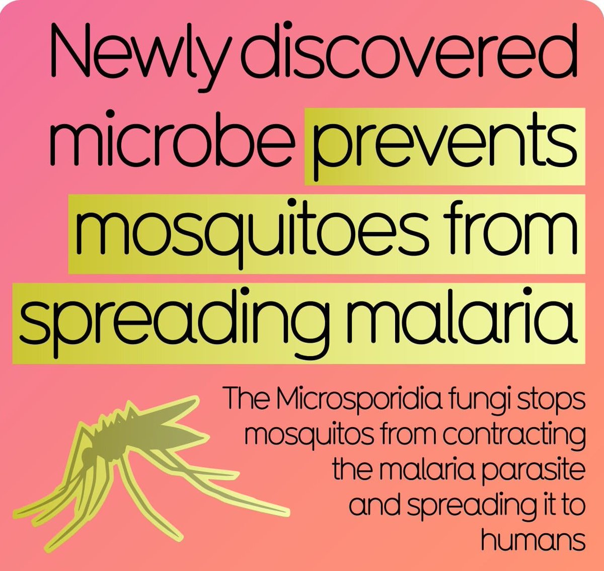 Microbe Stops Malaria 
#coronavirus #CoronavirusPandemic #malaria #vaccine #The100 #URGENTE #louiscometoindia