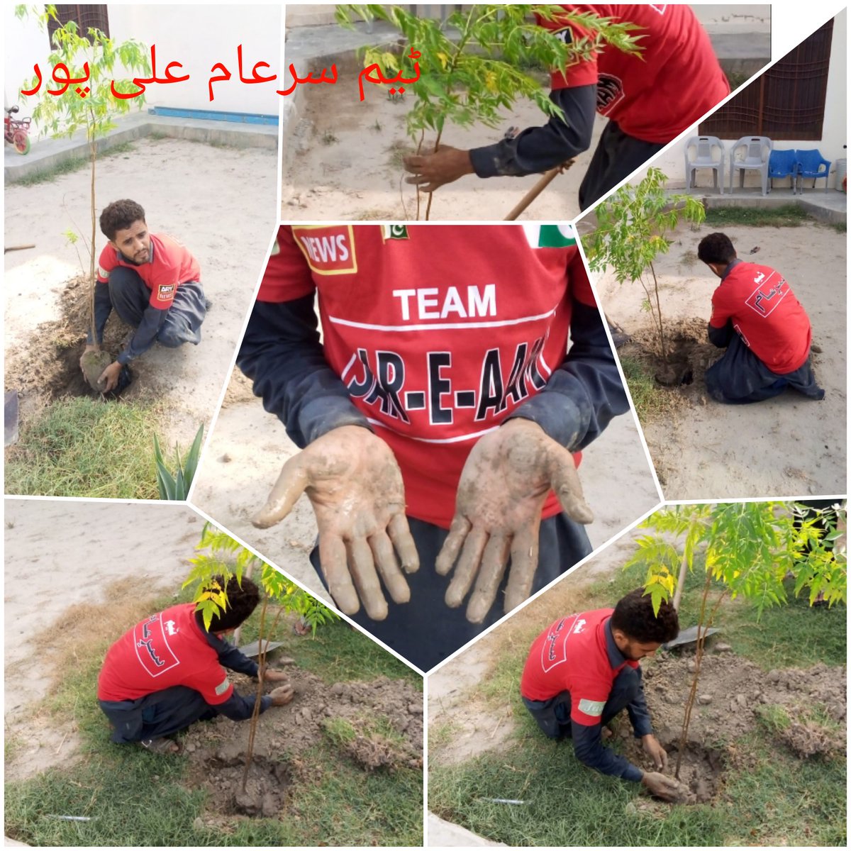 OnlyMunwaR's tweet photo. گزشتہ سال کی طرح اس سال بھی ٹیم سرعام کی طرف سے #سرسبز_پاکستان کے نام سے شجرکارمی مہم کا باقاعدہ آغاز کیا جائے گا۔
آئیے عہد کریں کہ ہم سب کم سے کم اپنے حصے کا ایک پودا ضرور لگائیں گے۔ ٹیم سرعام علی پور کے جانباز نعیم گبول نے آج  بیس پودے لگائے۔
#سرسبز_پاکستان
@iqrarulhassan https://t.co/cHw1ku2HUX