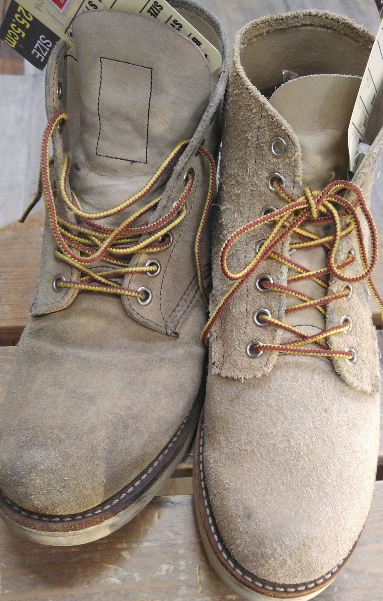 ktmbuJJ's tweet photo. モフモフもここまでくれば本望です🐏

#redwing
#redwing8167
#モフモフツーブー会
#刺繍羽タグ
#現行タグ https://t.co/pphAlXM5vy