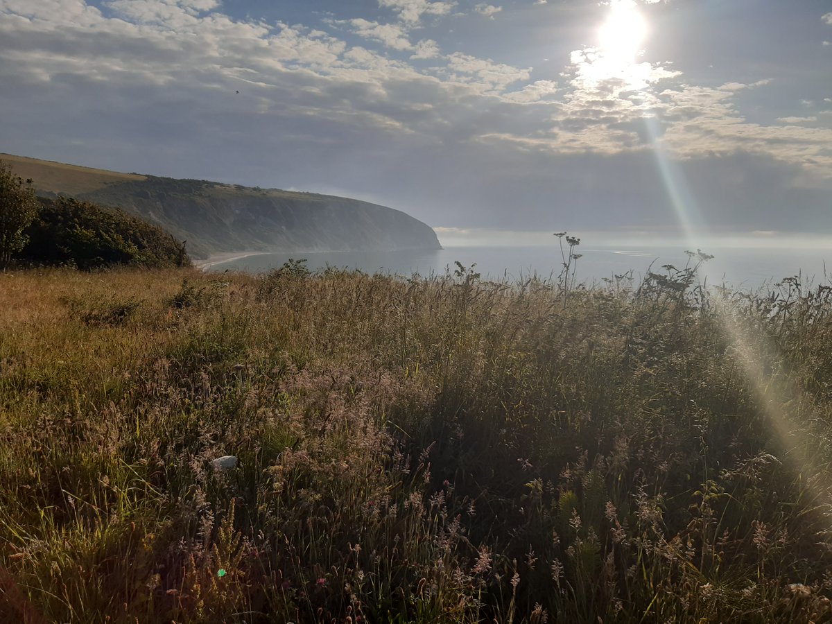 Swanage_SS's tweet photo. Some spaces still available 🛏
Stay with us in one of our 5 separate houses for your Swanage staycation and enjoy these beautiful views for yourself.
Have a chat with us on 01929 421075 &amp; book your stay
#AllnattAdventures #SwanageAccommodation #SwanageSummerHoliday @DorsetTourism https://t.co/G3yMbqEF5D