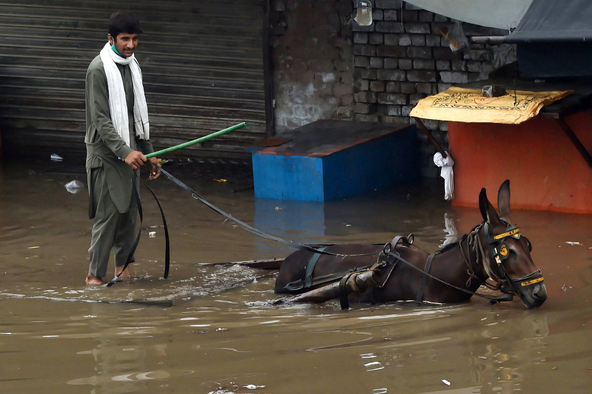 KhurramBhatti01's tweet photo. تبدیلی زدہ لاہور کی صورتحال https://t.co/GaqNFRQBz7
