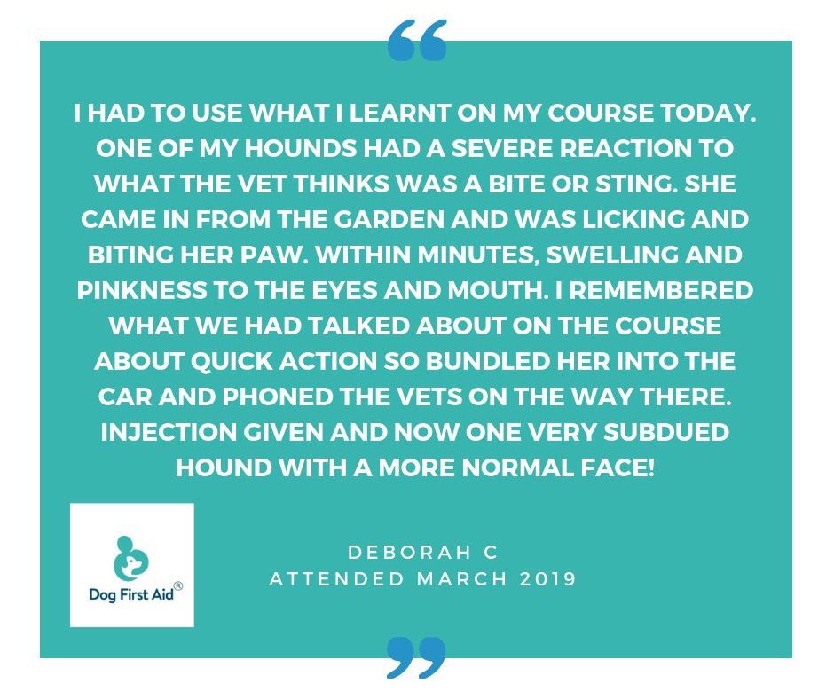 dogfirstaidkent's tweet image. Testimonials like this are so important to us as they prove that our courses give people the skills and confidence to react in an emergency situation with dogs in their care! #DogFirstAid #Kent #Testimonial