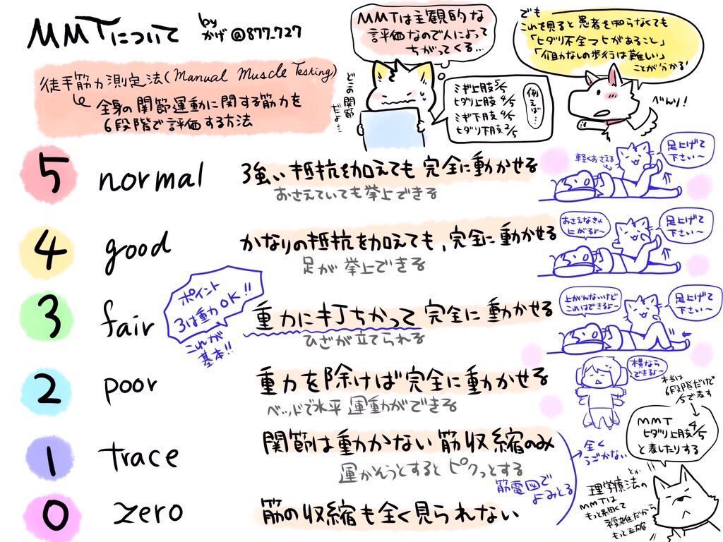 877_727's tweet image. 【MMT徒手筋力検査法についてメモ】
Manual Muscle Testing
国試でのポイントは
・従命が入らないと出来ない検査
・5がいちばん動く、3は重力大丈夫ということをまず覚える
臨床でみるときは痛み刺激を与えた時に手を払いのけていればMMT3〜4はあると考える