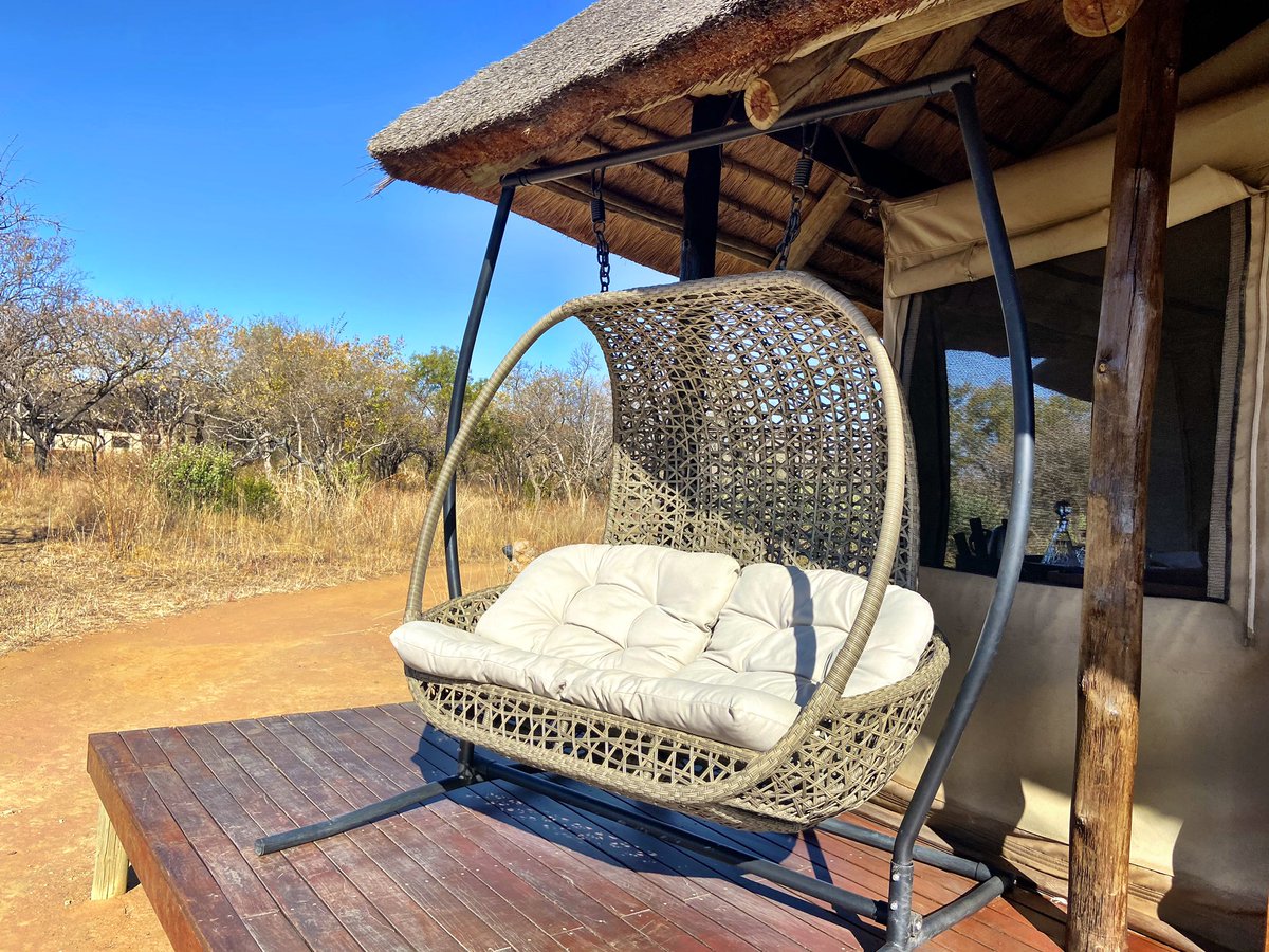 Sara Essop tweet media