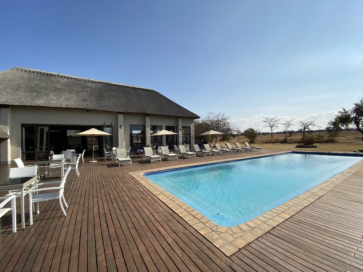 Sara Essop tweet media