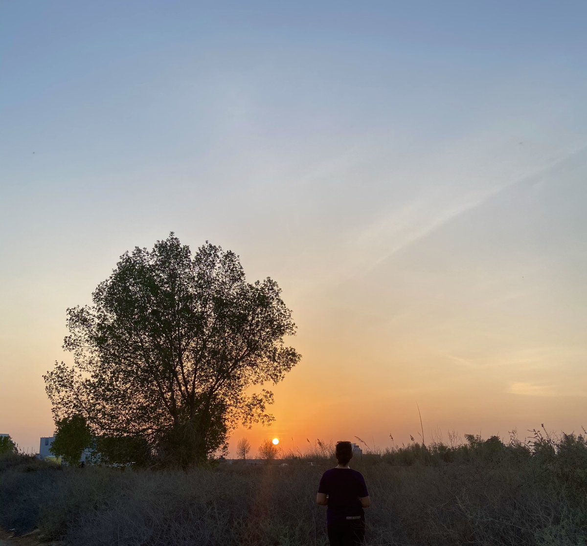 SardaMadhu's tweet photo. Sunset ~~~ #Bahrain #Bahrainpics #pic #pictureoftheday #picsofbahrain #photo #photography #travel #travelphotography #travelpics #travelbahrain #beautifulbahrain #mybahrain #bahrain🇧🇭 #bahraini #animal #animals #animallovers #bird #birds #jungle #forest #nature https://t.co/4VTPB8Sg6P