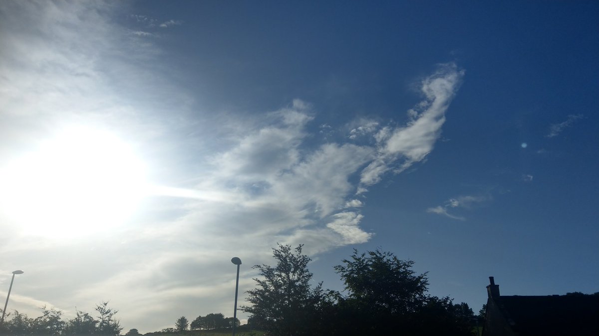 claraandstorm's tweet photo. @AngelaStillwell @AngusMcPussPuss @OssieAndLuna @TulipandSweep @irishbogcat @TweetsinEpping @lell_sutherland @Dollythercat 🌡️21°C on a brighter ⛅, windier 💨 day than we've had in a while. A few rain 🌧️ showers early, but mostly light cloud and blue sky now. Early pawtrol 🐾🐾 then back to bed.
Storm ⚡ #internToWeatherCat https://t.co/Z0u1d4NXSf