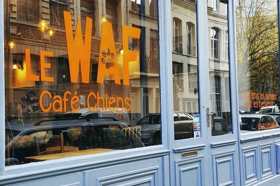 EFFICYCLE_fr's tweet photo. Le WAF : le café lillois qui a du chien >> https://t.co/i9nDRLZt9S
Une #MOTIVACTION de #LeWAF
❤️ Soutenez EFFICYCLE 👉 https://t.co/YWpPIwfDBc
#Consommation #Responsable #Conso #Durable #Animaux #Éthique https://t.co/ZyM536meMl