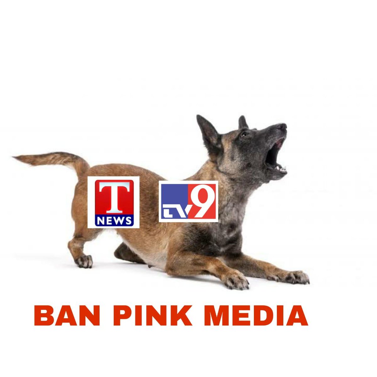 Rameshedulapur1's tweet photo. #BanPinkMedia https://t.co/aOWu57CAht
