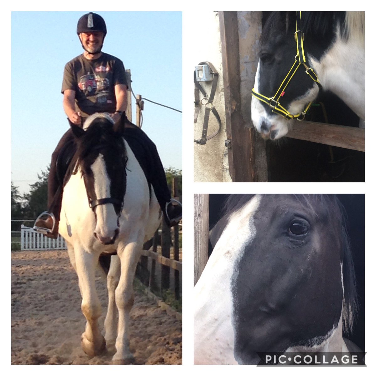 InspsWMFed tweet media