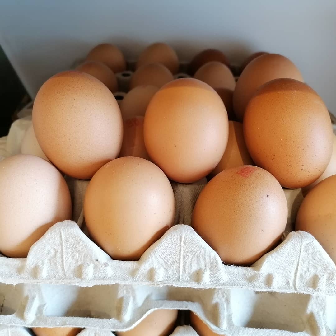 SELECTA (@selectafruta) on Twitter photo 