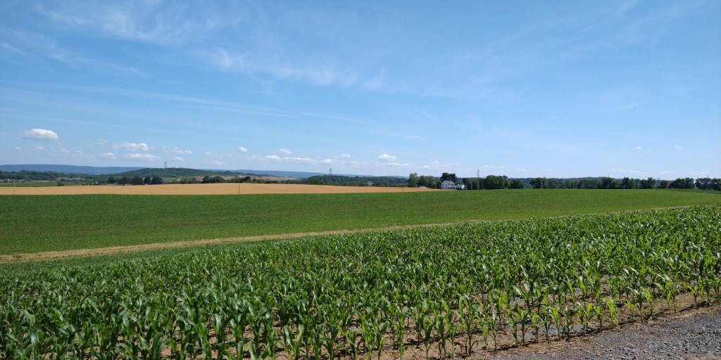 LebanonTown's tweet photo. The very first corn maze, called the Amazing Maize Maze, was built in 1993 at Lebanon Valley College (LVC) in Annville. https://t.co/2WPlkR2Z4D https://t.co/vMY0OSV8TN