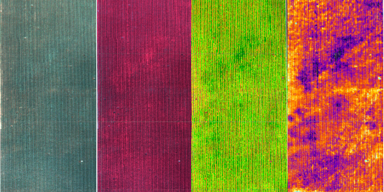 TerrAvion tweet media