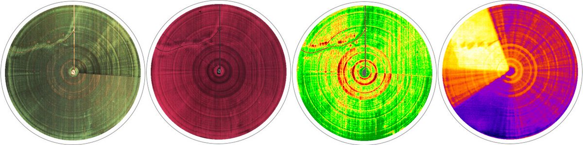 TerrAvion tweet media