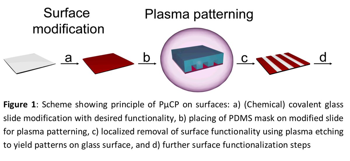 Micropatterning of surfaces, which is usually quite complex, we managed to do it in very simple steps 9/20  https://pubs.rsc.org/en/content/articlelanding/2019/cc/c9cc03791h#!divAbstract