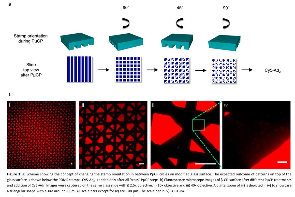 Micropatterning of surfaces, which is usually quite complex, we managed to do it in very simple steps 9/20  https://pubs.rsc.org/en/content/articlelanding/2019/cc/c9cc03791h#!divAbstract