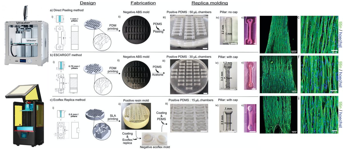 Last collaboration was with 2 biological lab, where they had no clue about microfabrication, now both of them have acquired a 3D printer and are using it for fabricating muscle on a chip in house 10/20  https://onlinelibrary.wiley.com/doi/full/10.1002/admt.202000344